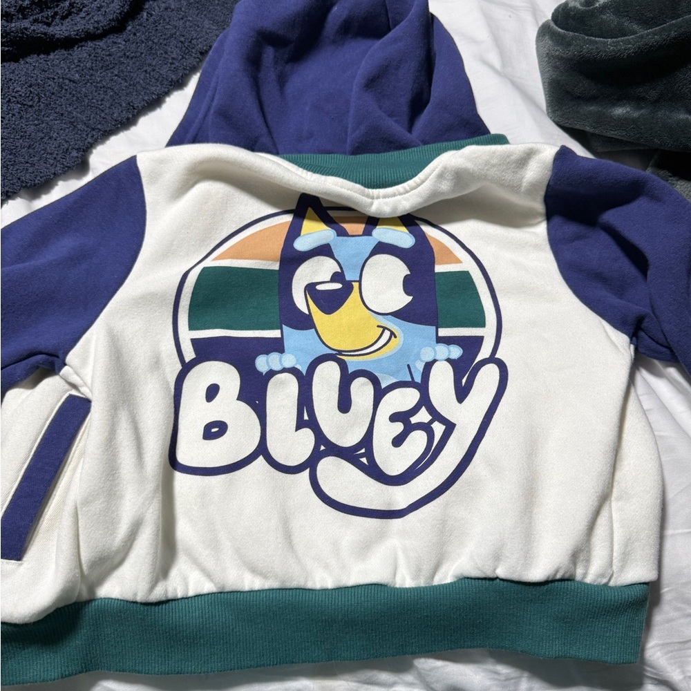 Bluey Kids Hoodie - Blue, White, and Green NWOT